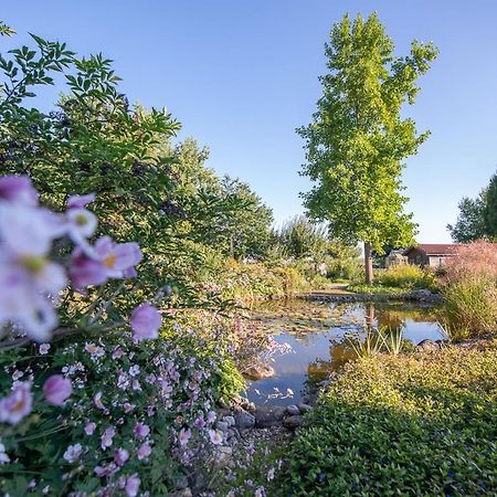 Einzigartige Naturoase Im Sueden Von Ingolstadt Brautlach Εξωτερικό φωτογραφία